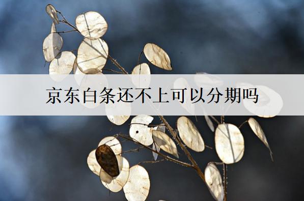 京東白條還不上可以分期嗎？