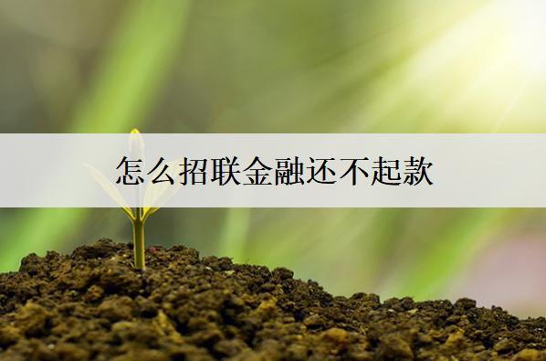 怎么招聯(lián)金融還不起款？詳細(xì)原因分析