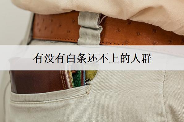 有沒有白條還不上的人群？