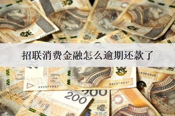 招聯(lián)消費(fèi)金融怎么逾期還款了，逾期原因分析