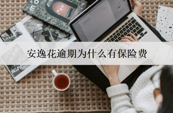 安逸花逾期為什么有保險(xiǎn)費(fèi)？和這個(gè)4個(gè)因素有關(guān)