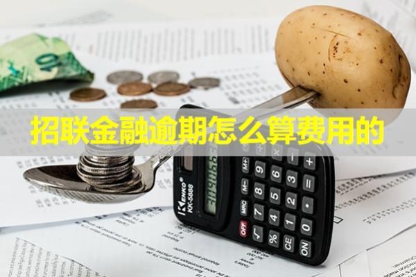 招聯(lián)金融逾期怎么算費用的？詳細解析