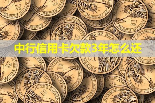 中行信用卡欠款3年怎么還？詳細計劃