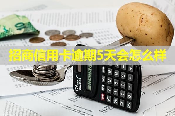 招商信用卡逾期5天會怎么樣？從三方面分析后果