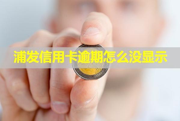 浦發(fā)信用卡逾期怎么沒顯示？是這四種原因?qū)е拢?>
                                        </a>



                                    </div>
                                    <div   id=