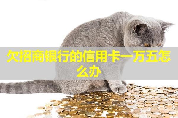欠招商銀行的信用卡一萬五怎么辦？