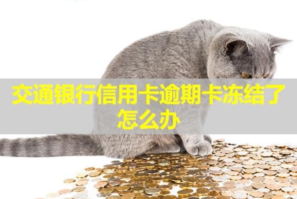 交通銀行信用卡逾期卡凍結(jié)了怎么辦？