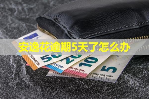 安逸花逾期5天了怎么辦？