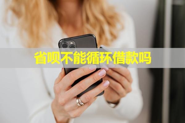 省唄不能循環(huán)借款嗎？再次使用還有審核嗎？
