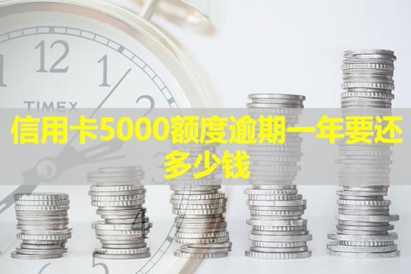 信用卡5000額度逾期一年要還多少錢