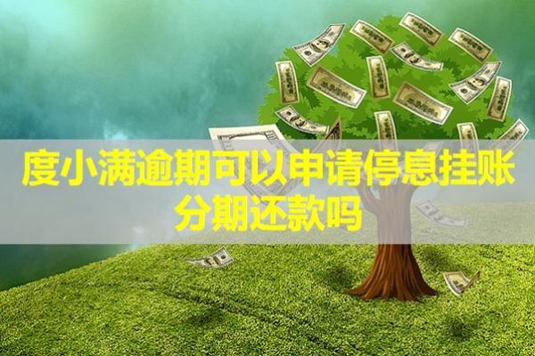 度小滿逾期可以申請(qǐng)停息掛賬分期還款嗎？詳細(xì)步驟解析