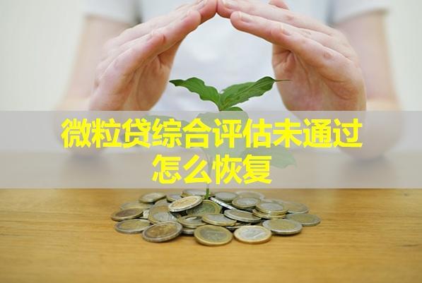 微粒貸綜合評估未通過怎么恢復(fù)？全面解析