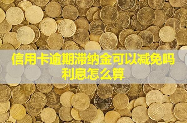 信用卡逾期滯納金可以減免嗎？利息怎么算？