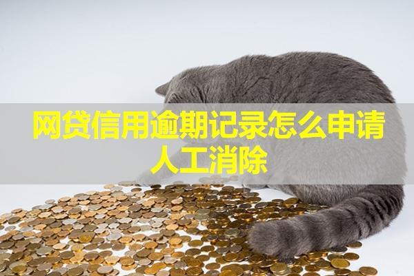 網(wǎng)貸信用逾期記錄怎么申請(qǐng)人工消除？