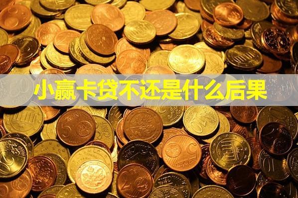 小贏卡貸不還是什么后果？還不上怎么辦？
