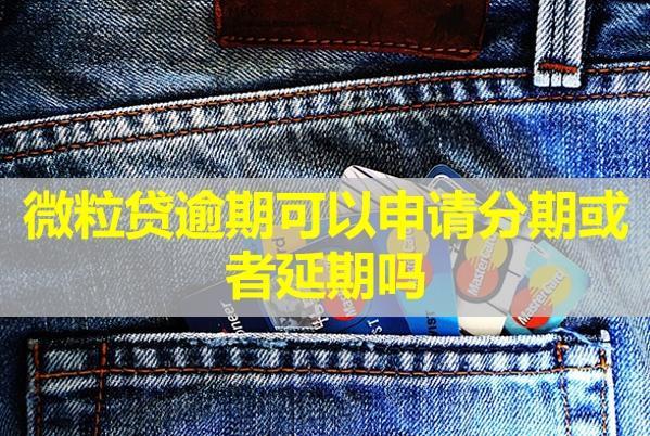 微粒貸逾期可以申請分期或者延期嗎？協(xié)商后還不上會怎樣？