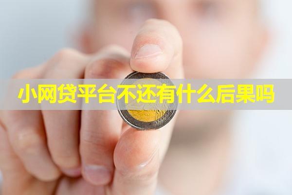 小網(wǎng)貸平臺不還有什么后果嗎？該如何還款呢？