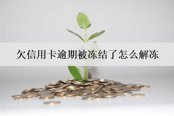 欠信用卡逾期被凍結(jié)了怎么解凍？4個解凍方法