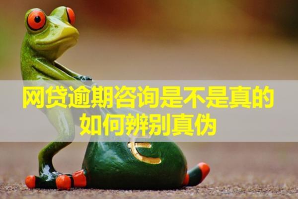 網(wǎng)貸逾期咨詢是不是真的？如何辨別真?zhèn)危?>
                                        </a>



                                    </div>
                                    <div   id=