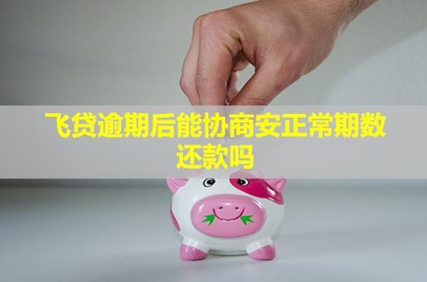 飛貸逾期后能協(xié)商安正常期數還款嗎？后果怎么樣？