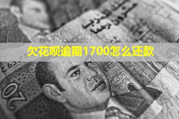 欠花唄逾期1700怎么還款？會(huì)打電話給家人們嗎？