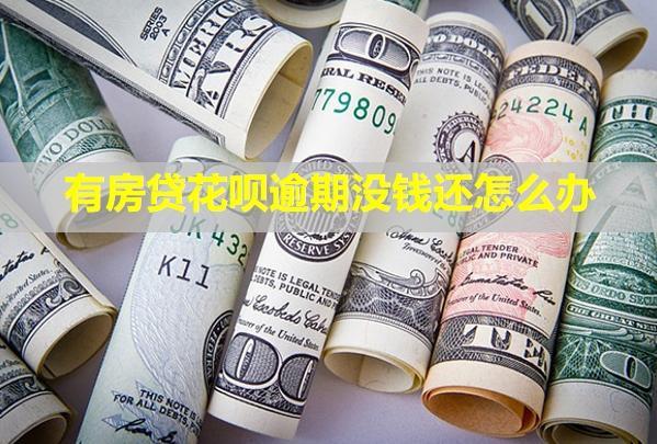 有房貸花唄逾期沒錢還怎么辦？