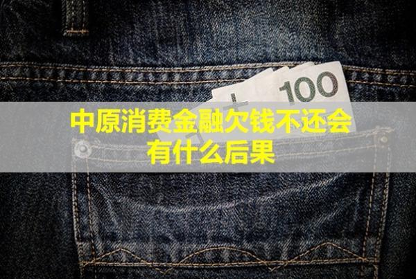 中原消費金融欠錢不還會有什么后果？欠錢不還怎么辦？