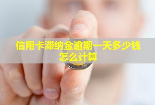 信用卡滯納金逾期一天多少錢？怎么計(jì)算？