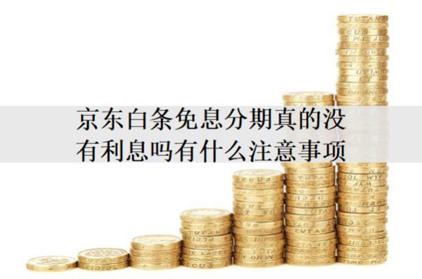 京東白條免息分期真的沒有利息嗎有什么注意事項？