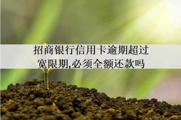 招商銀行信用卡逾期超過(guò)寬限期,必須全額還款嗎