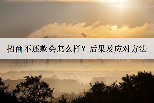 招商不還款會怎么樣？后果及應(yīng)對方法