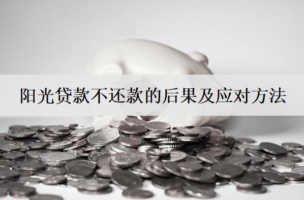 陽光貸款不還款的后果及應(yīng)對方法