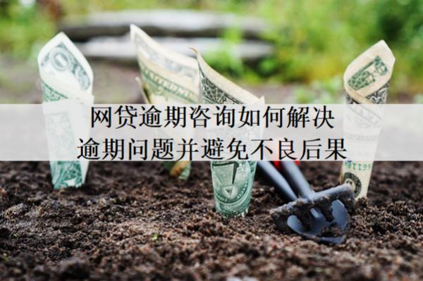 網(wǎng)貸逾期咨詢(xún)?nèi)绾谓鉀Q逾期問(wèn)題并避免不良后果