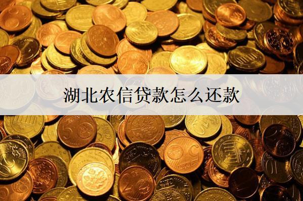 湖北農(nóng)信貸款怎么還款？