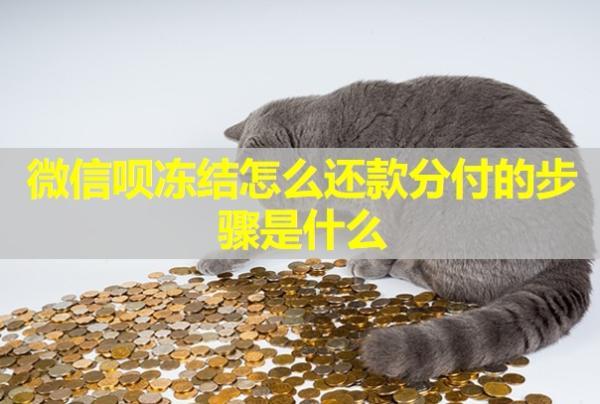 微信唄凍結(jié)怎么還款分付的步驟是什么？怎么快速解除？
