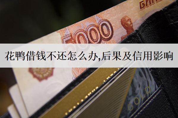 花鴨借錢不還怎么辦，后果及信用影響