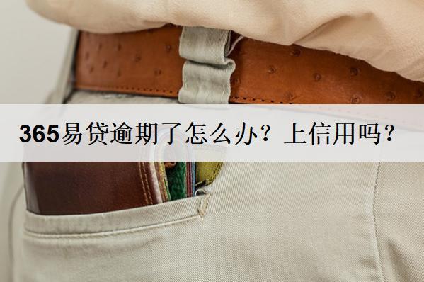 365易貸逾期了怎么辦？上信用嗎？