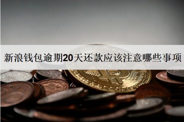 新浪錢包逾期20天還款應該注意哪些事項