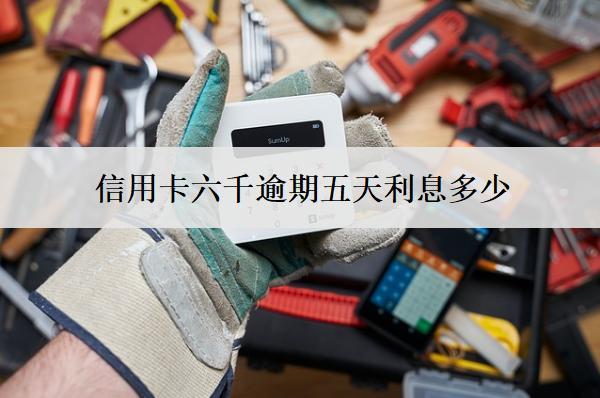 信用卡六千逾期五天利息多少？逾期利息計(jì)算方式解析