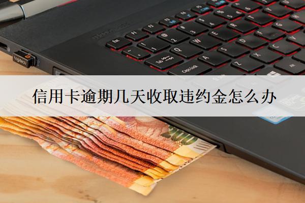 信用卡逾期幾天收取違約金怎么辦？