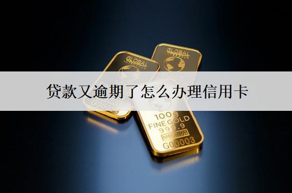 貸款又逾期了怎么辦理信用卡？被拒怎么辦？