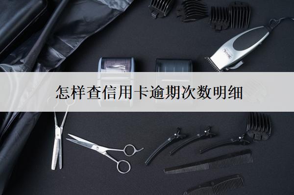 怎樣查信用卡逾期次數(shù)明細(xì)？查詢方式分享