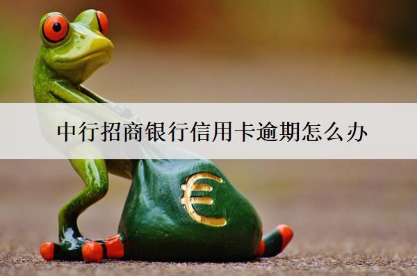 中行招商銀行信用卡逾期怎么辦？會怎么樣？