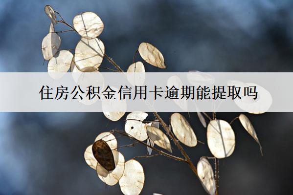 住房公積金信用卡逾期能提取嗎？