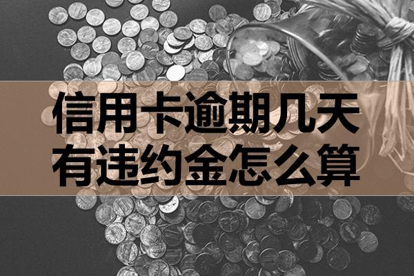 信用卡逾期幾天有違約金怎么算？怎么辦？