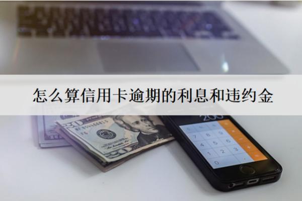 怎么算信用卡逾期的利息和違約金？