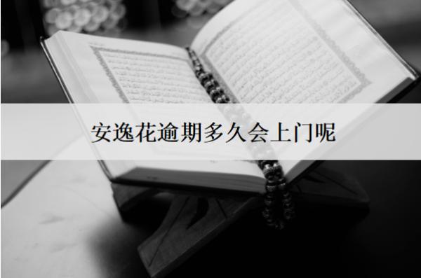 安逸花逾期多久會上門呢？上門怎么辦？