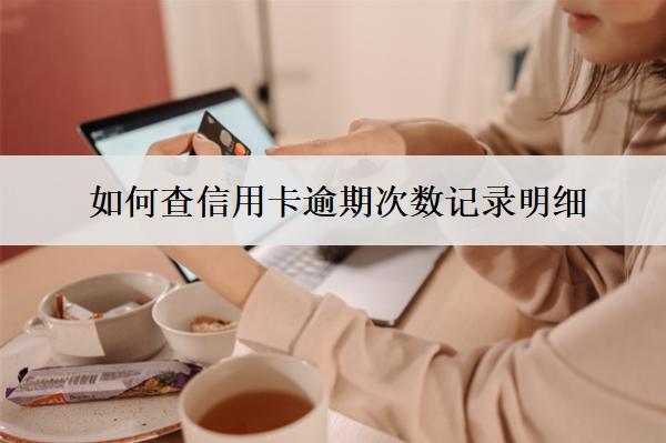 如何查信用卡逾期次數(shù)記錄明細(xì)？6種查詢渠道