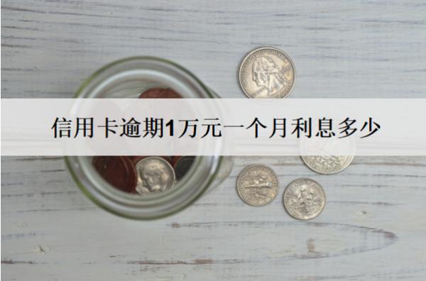 信用卡逾期1萬(wàn)元一個(gè)月利息多少？