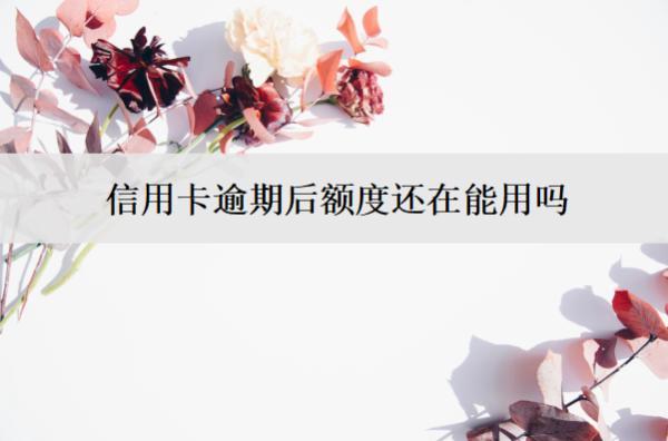 信用卡逾期后額度還在能用嗎？不能用怎么辦？